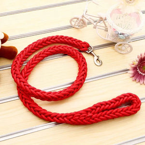Braided nylon rope leash for medium to large dogs