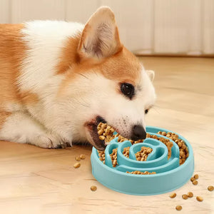 Slow-feeding bowl for dogs and cats to help prevent choking and fast eating