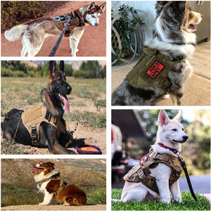 TactiGear Military Dog Harness & Leash Set - GoPoofy