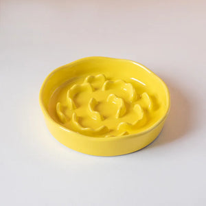 Ceramic raised slow feeder bowl for cats and dogs