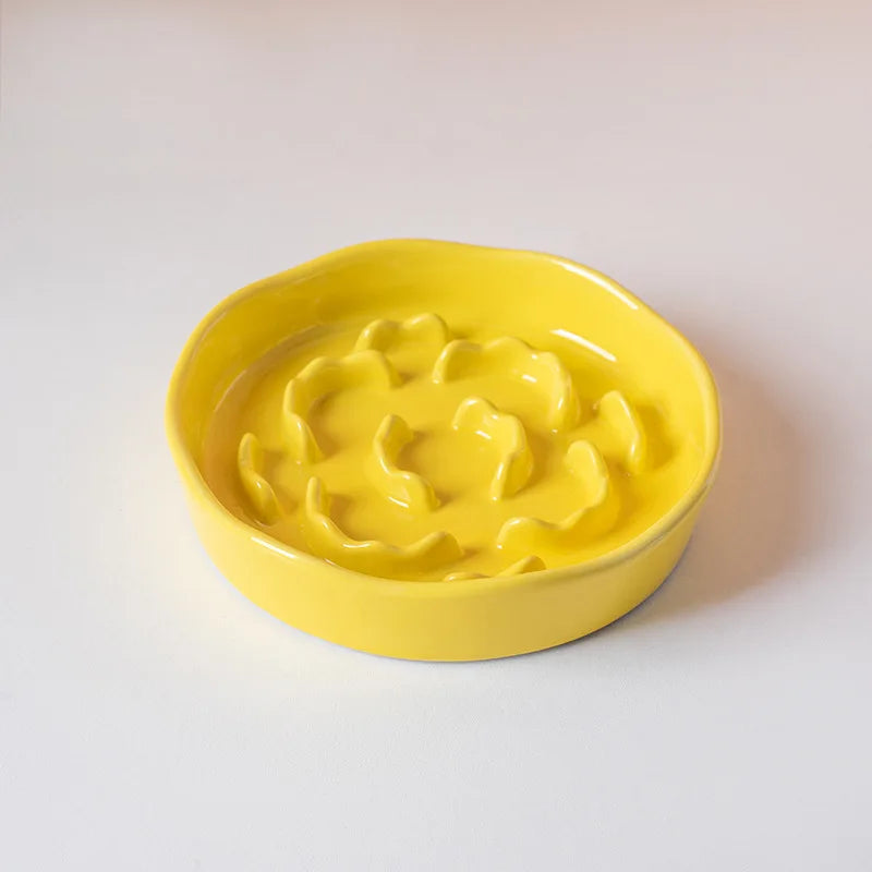 Ceramic raised slow feeder bowl for cats and dogs