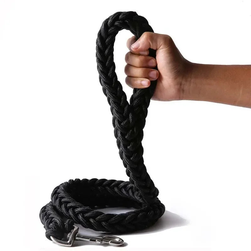 Braided nylon rope leash for medium to large dogs
