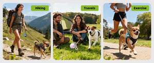 Leak-proof stainless steel water bottle with bowl attachment for dogs