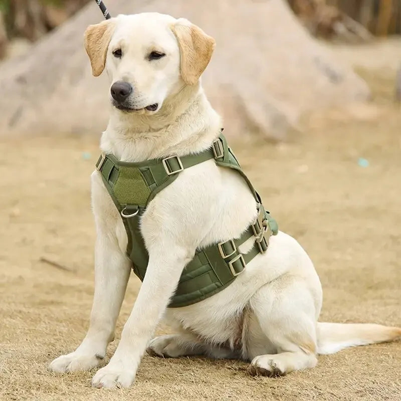 ElitePaws Tactical Harness - GoPoofy