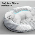 Machine washable dog bed for year-round comfort