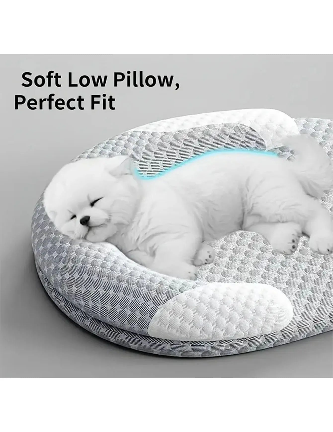 Machine washable dog bed for year-round comfort