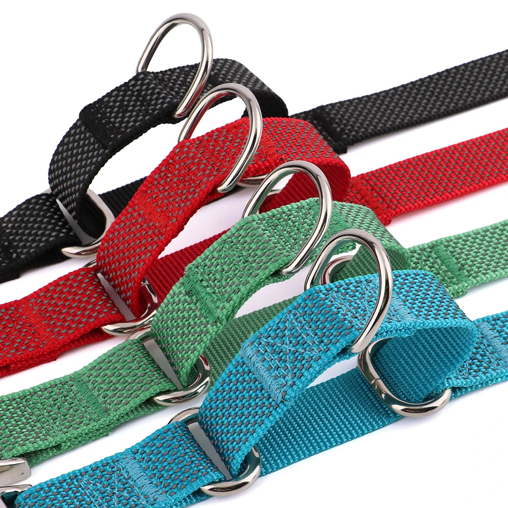 SafeGlow Personalized Dog Collar - GoPoofy