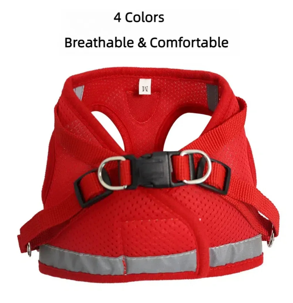 Reflective mesh harness and lead set for cats and small dogs