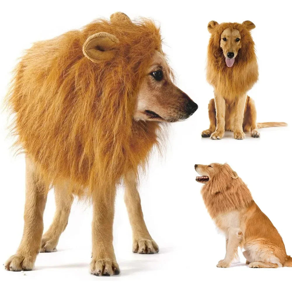 Lion mane costume wig for medium to large dogs