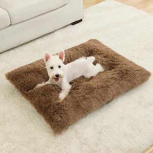 Soft plush cotton sofa bed for dogs and cats