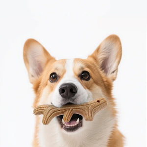 Bamboo dental chew toy for dogs to support teeth cleaning