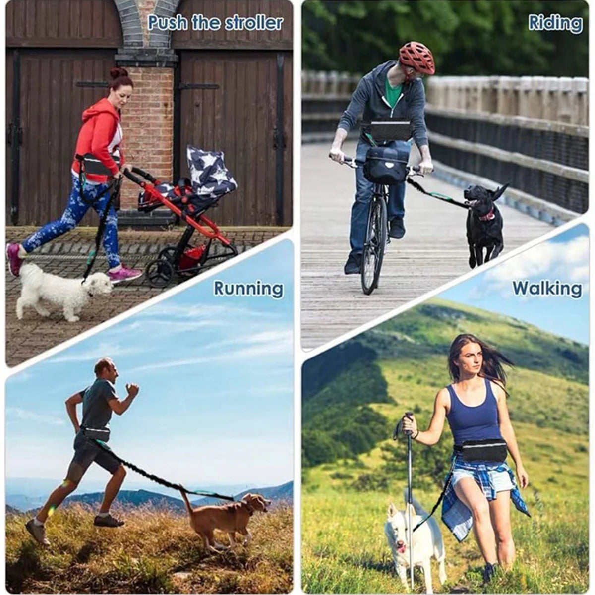 Hands-free reflective dog leash with adjustable waist belt