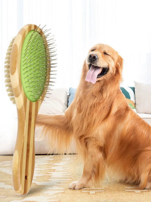 Double-sided bamboo grooming brush for dog coat care
