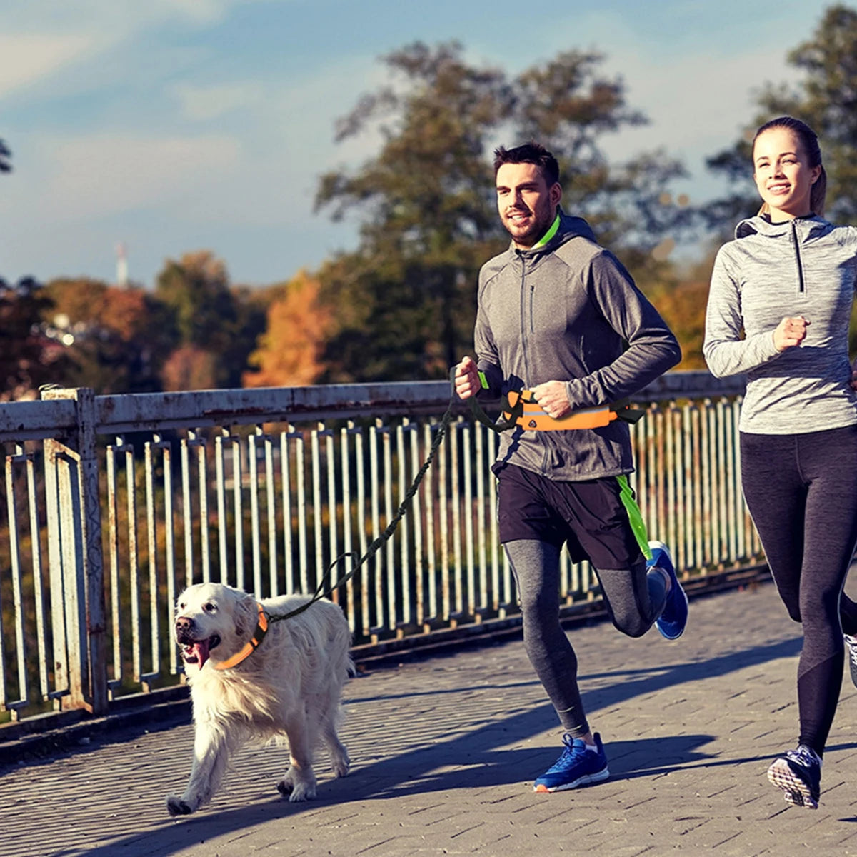 Hands-free reflective dog leash with adjustable waist belt
