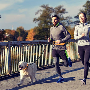 Hands-free reflective dog leash with adjustable waist belt