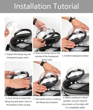 Transparent bubble backpack pet carrier for cats and small dogs