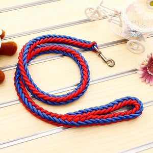 Braided nylon rope leash for medium to large dogs