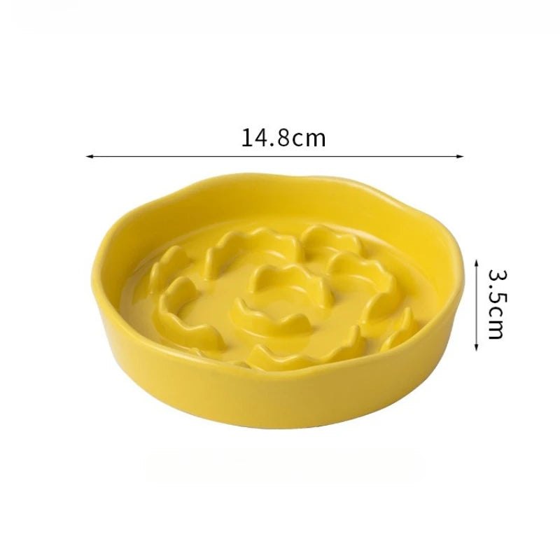 Ceramic raised slow feeder bowl for cats and dogs