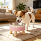 Elevated ice cream design stainless steel feeding bowl for dogs and cats