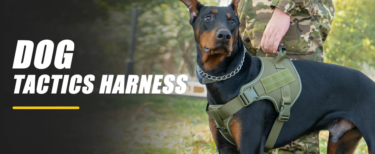 Reflective tactical-style training vest harness for dogs