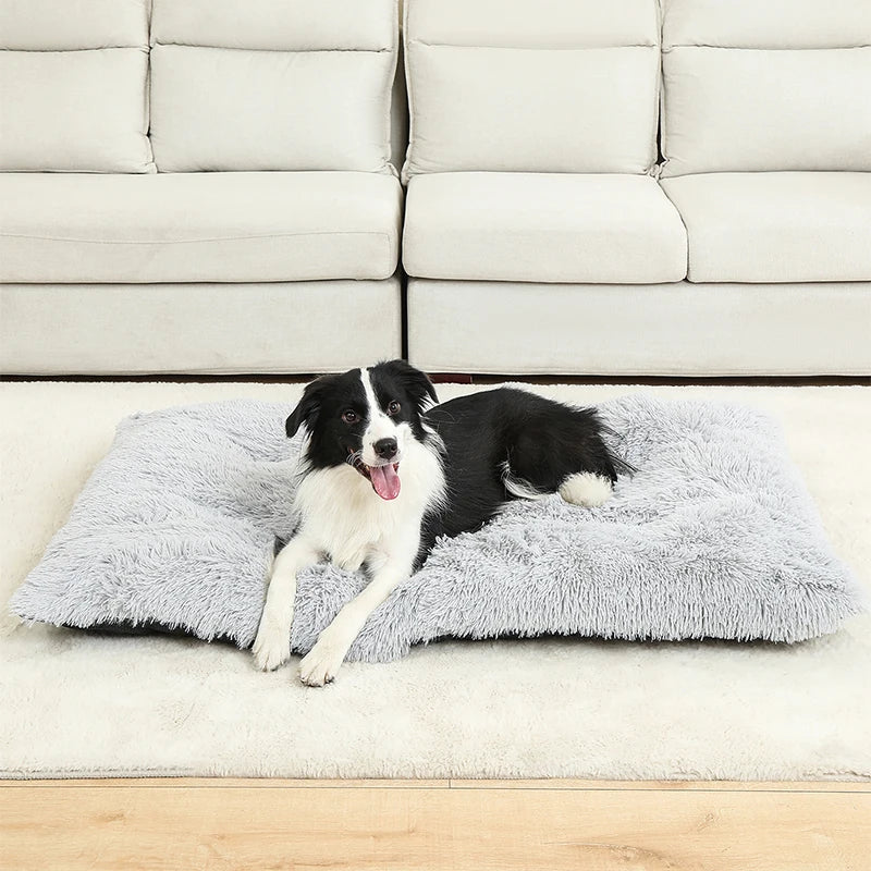 Soft plush cotton sofa bed for dogs and cats