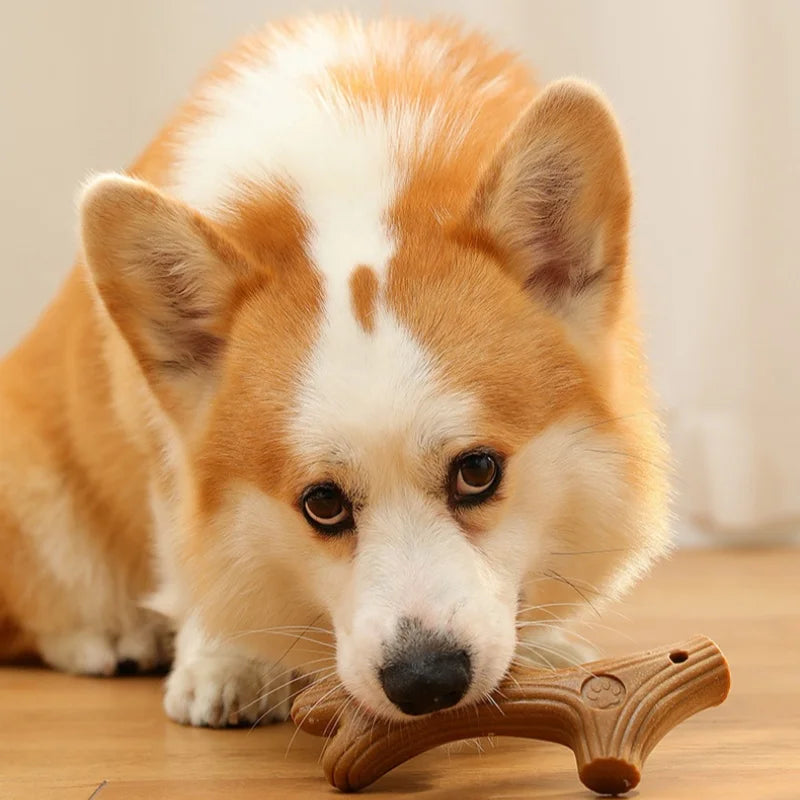 Bamboo dental chew toy for dogs to support teeth cleaning