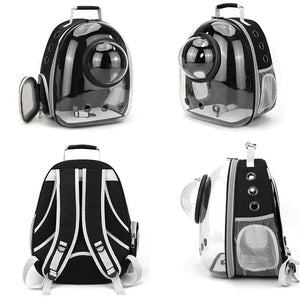 Transparent bubble backpack pet carrier for cats and small dogs