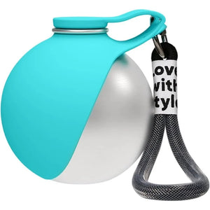Stainless steel dog water bottle with built-in silicone bowl