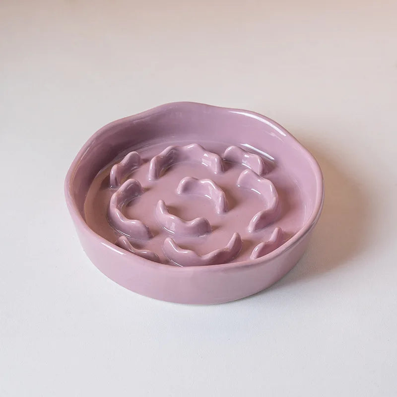 Ceramic raised slow feeder bowl for cats and dogs