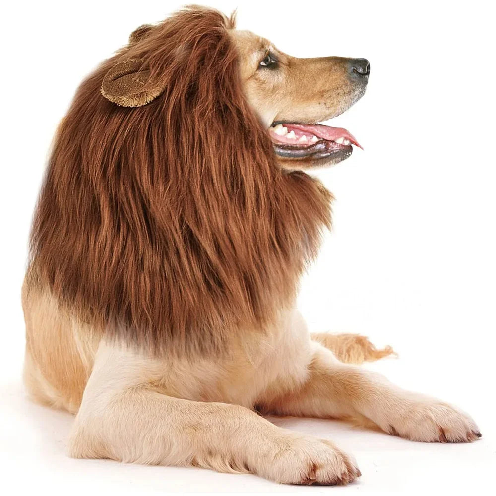 Lion mane costume wig for medium to large dogs
