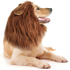 Lion mane costume wig for medium to large dogs