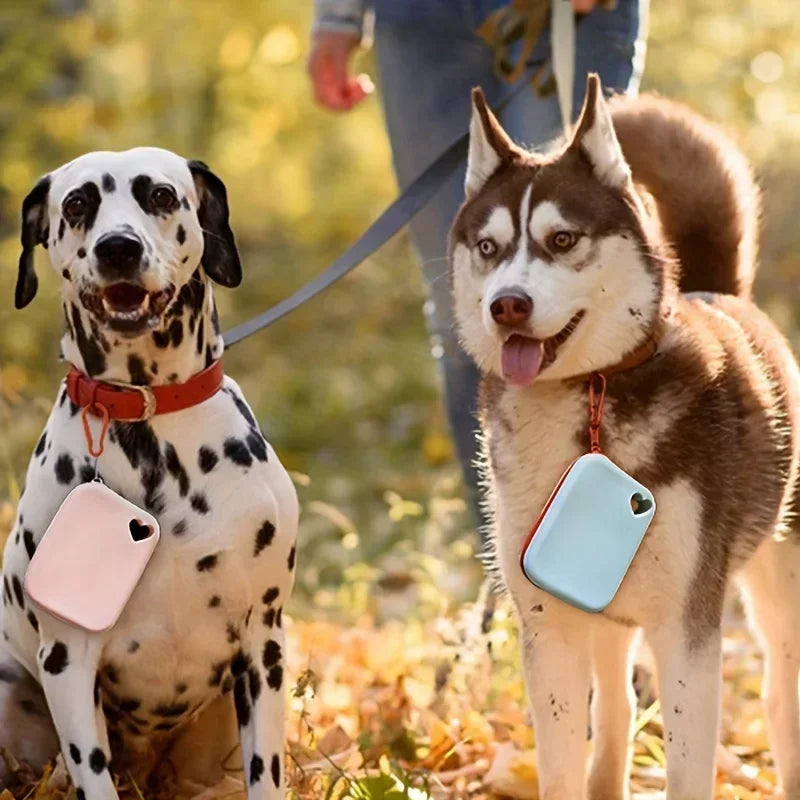Waterproof silicone treat pouch for dog training walks