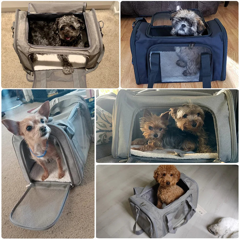 PawPack Soft Backpack Carrier - GoPoofy