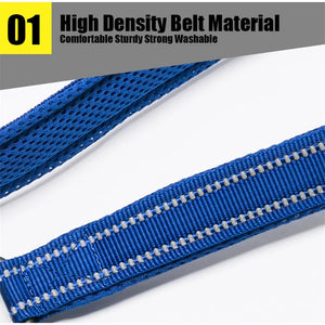 Truelove Reflective Mesh Dog Leash: Padded Comfort & Safety - GoPoofy
