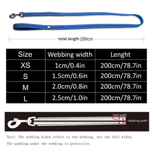 Truelove Reflective Mesh Dog Leash: Padded Comfort & Safety - GoPoofy