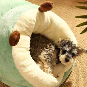 Soft coral fleece pet bed with removable washable cover for small dogs and cats