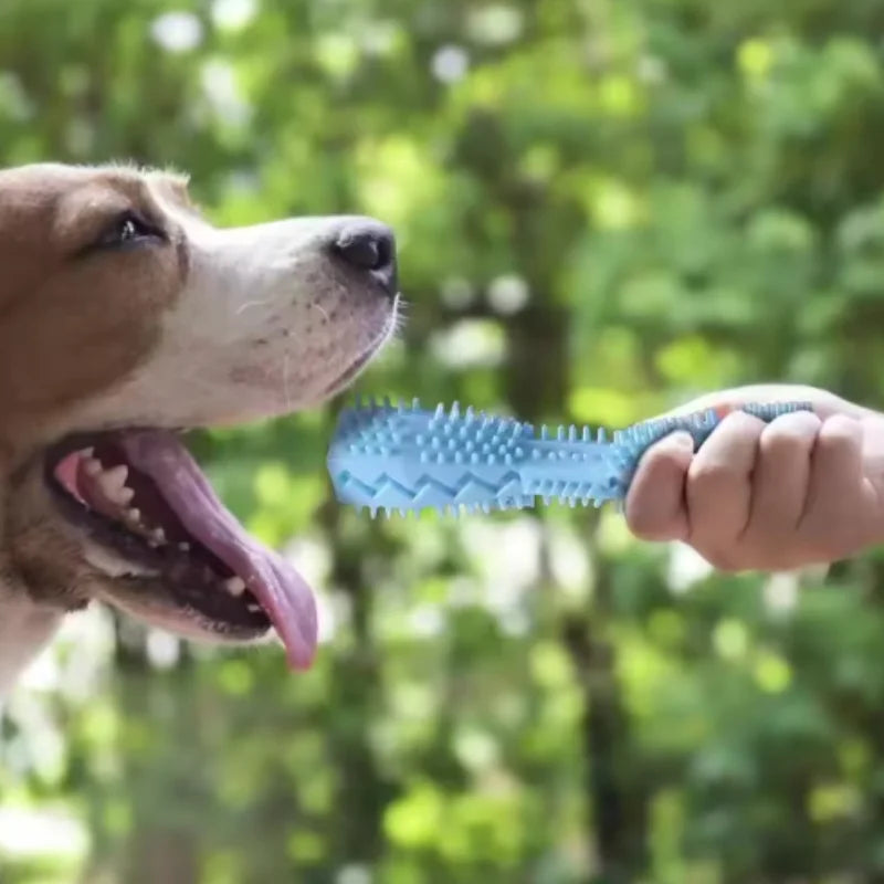Leak-proof bite-resistant teething chew toy for dogs