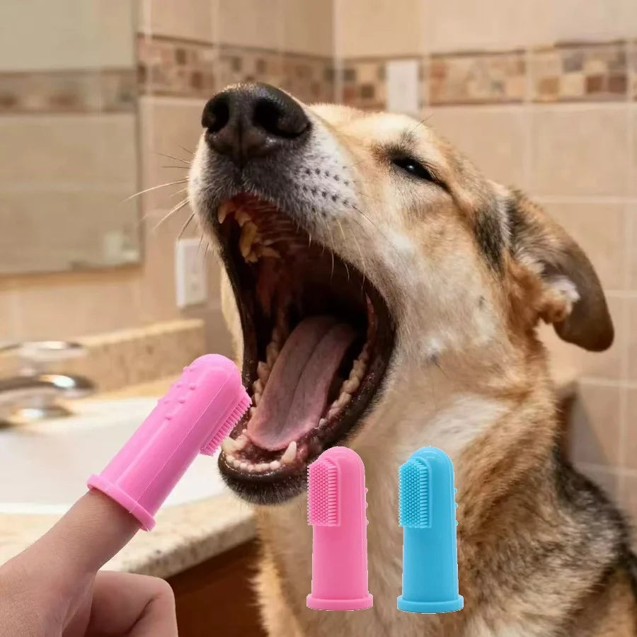 3-sided plastic toothbrush for dog and cat dental care