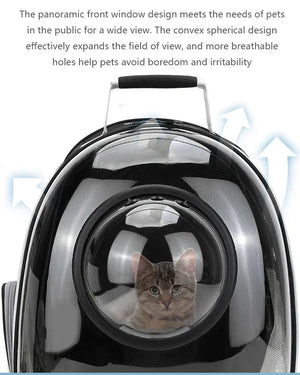 Transparent bubble backpack pet carrier for cats and small dogs