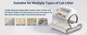 Cat litter disposal system with text and images of different types of cat litter.
