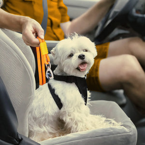 Reflective nylon car seatbelt restraint for dogs