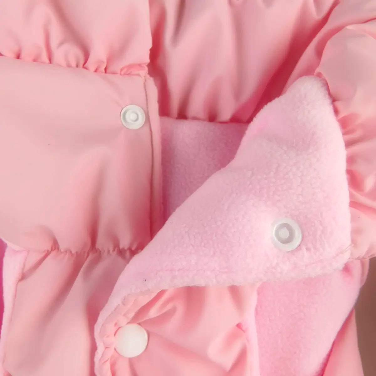 Insulated winter jacket for dogs and cats