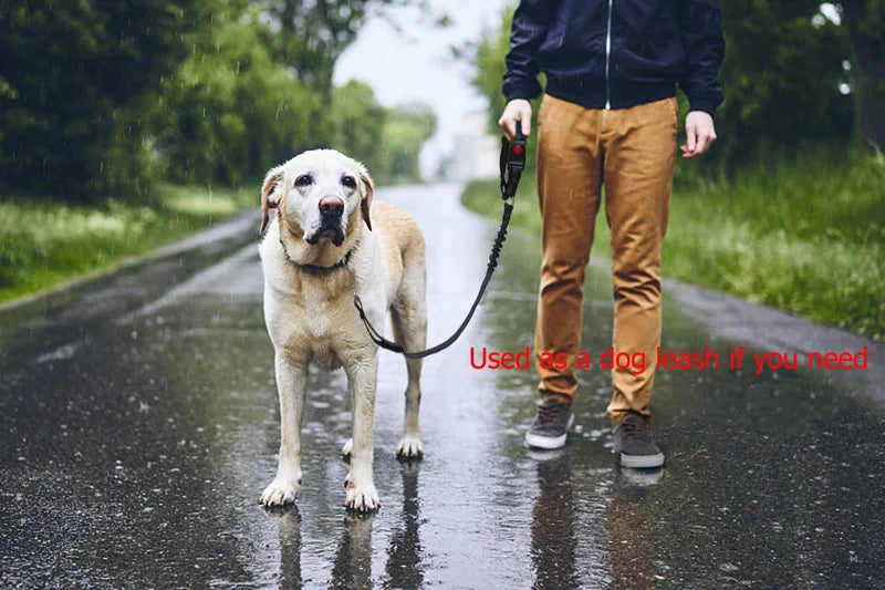 Elastic reflective nylon car seatbelt leash for dogs