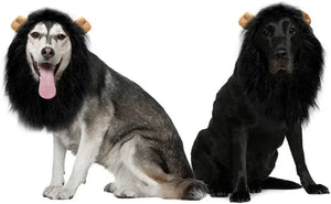 Lion mane costume wig for medium to large dogs