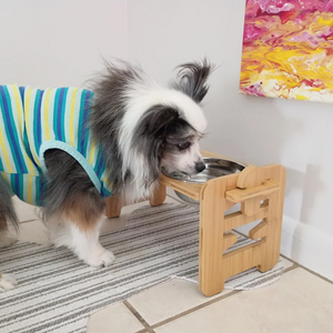 Adjustable wooden bowl stand with steel bowls for small dogs and cats