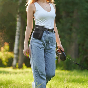 Portable training treat waist bag for dogs