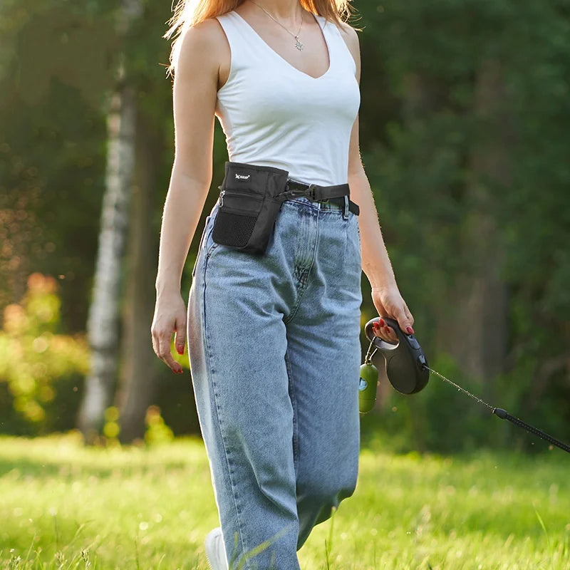 Portable training treat waist bag for dogs
