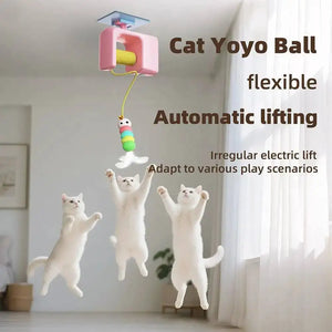 Automatic rechargeable hanging teaser toy for interactive cat play