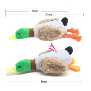 Cute Duck Squeaker Toy - GoPoofy