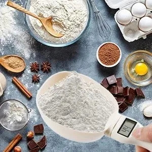 Digital food measuring scoop scale with LED display for pet food